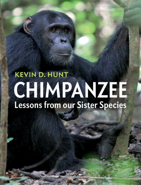 Chimpanzee; Lessons from our Sister Species (Hardback) 9781107118591