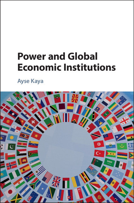 Power and Global Economic Institutions (Hardback) 9781107120945