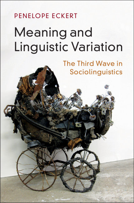 Meaning and Linguistic Variation; The Third Wave in Sociolinguistics (Hardback) 9781107122970