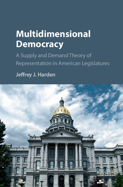 Multidimensional Democracy; A Supply and Demand Theory of Representation in American Legislatures (Hardback) 9781107130968