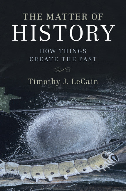 The Matter of History; How Things Create the Past (Hardback) 9781107134171