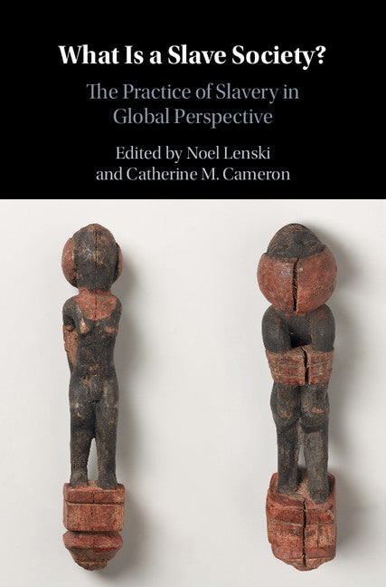 What Is a Slave Society?; The Practice of Slavery in Global Perspective (Hardback) 9781107144897