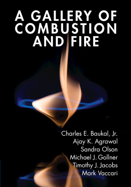 A Gallery of Combustion and Fire (Hardback) 9781107154971