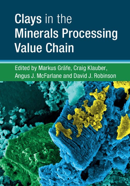 Clays in the Minerals Processing Value Chain (Hardback) 9781107157323