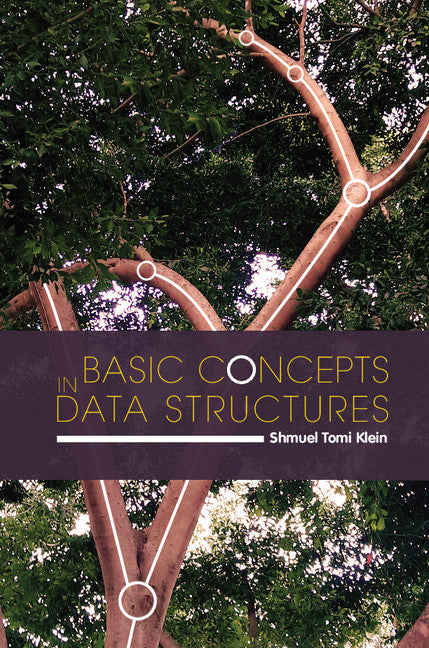 Basic Concepts in Data Structures (Hardback) 9781107161276