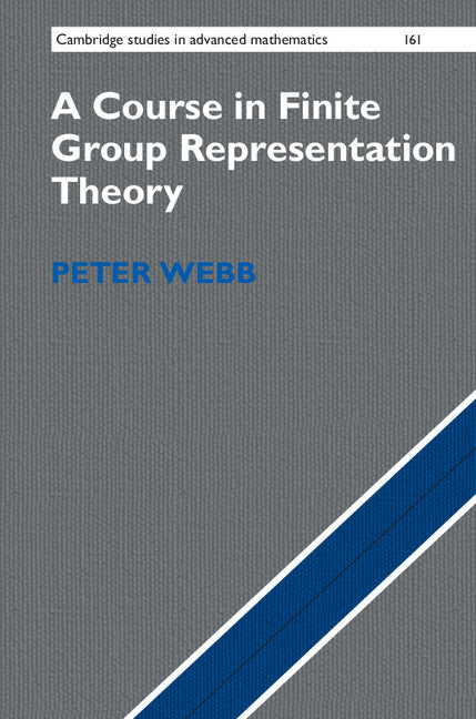 A Course in Finite Group Representation Theory (Hardback) 9781107162396