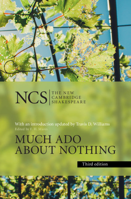 Much Ado about Nothing (Hardback) 9781107174733