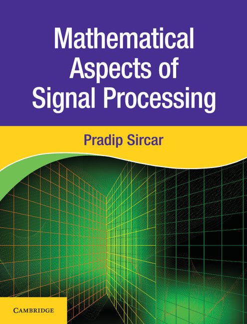 Mathematical Aspects of Signal Processing (Hardback) 9781107175174