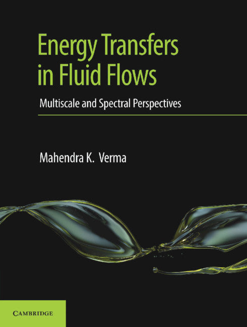 Energy Transfers in Fluid Flows; Multiscale and Spectral Perspectives (Hardback) 9781107176195