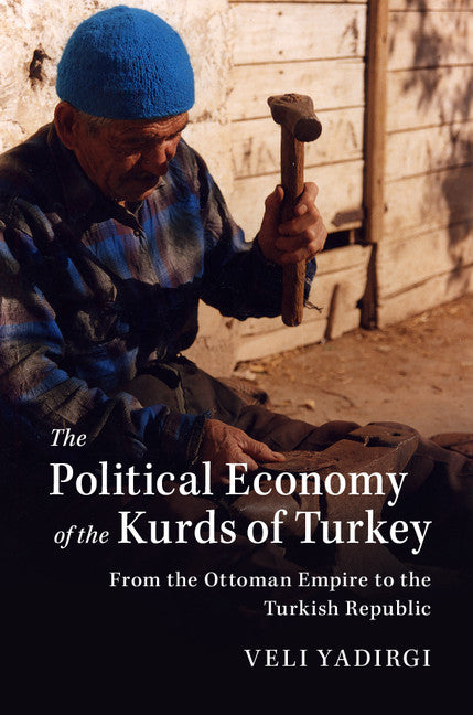 The Political Economy of the Kurds of Turkey; From the Ottoman Empire to the Turkish Republic (Hardback) 9781107181236