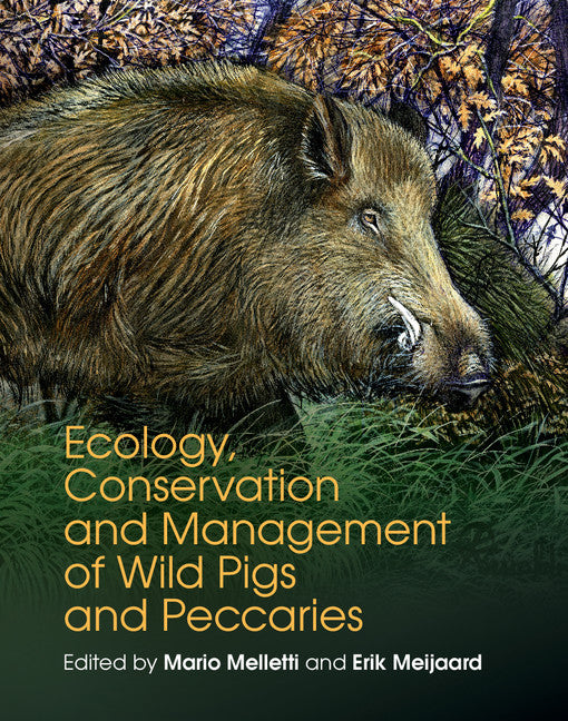 Ecology, Conservation and Management of Wild Pigs and Peccaries (Hardback) 9781107187313