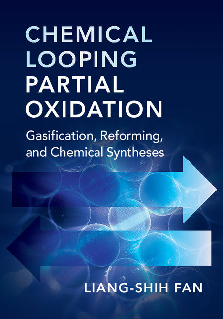 Chemical Looping Partial Oxidation; Gasification, Reforming, and Chemical Syntheses (Hardback) 9781107194397