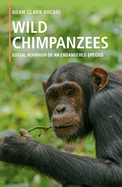 Wild Chimpanzees; Social Behavior of an Endangered Species (Hardback) 9781107197176