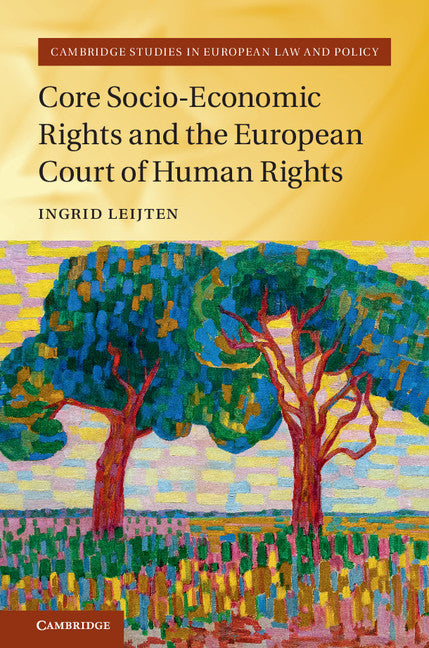 Core Socio-Economic Rights and the European Court of Human Rights (Hardback) 9781107198470