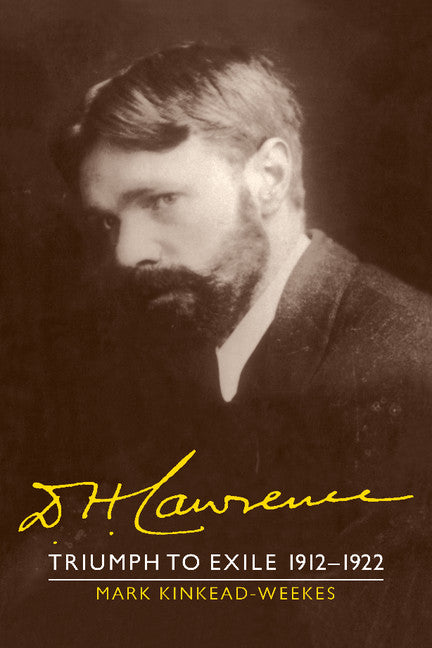 D. H. Lawrence: Triumph to Exile 1912–1922; The Cambridge Biography of D. H. Lawrence (Paperback / softback) 9781107403000