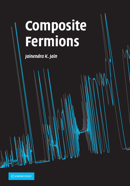 Composite Fermions (Paperback / softback) 9781107404250