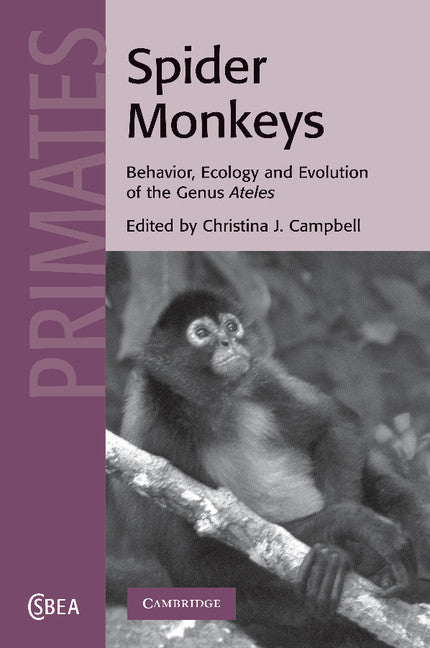 Spider Monkeys; Behavior, Ecology and Evolution of the Genus Ateles (Paperback / softback) 9781107406025