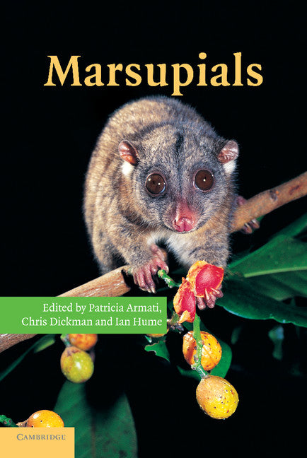 Marsupials (Paperback / softback) 9781107406070