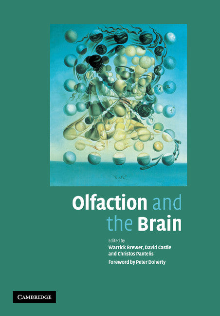 Olfaction and the Brain (Paperback / softback) 9781107406100