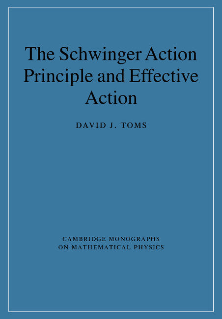 The Schwinger Action Principle and Effective Action (Paperback / softback) 9781107406308