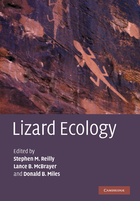 Lizard Ecology (Paperback / softback) 9781107407480