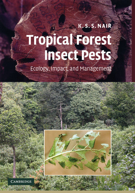 Tropical Forest Insect Pests; Ecology, Impact, and Management (Paperback / softback) 9781107407879