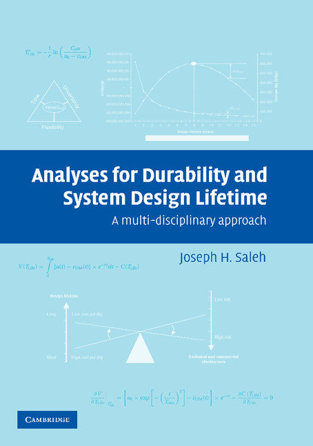 Analyses for Durability and System Design Lifetime; A Multidisciplinary Approach (Paperback / softback) 9781107410688