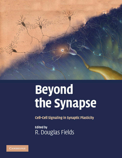 Beyond the Synapse; Cell-Cell Signaling in Synaptic Plasticity (Paperback / softback) 9781107411562