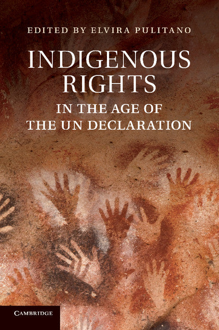 Indigenous Rights in the Age of the UN Declaration (Paperback / softback) 9781107417014