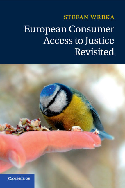 European Consumer Access to Justice Revisited (Paperback / softback) 9781107420809