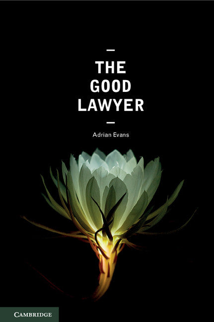 The Good Lawyer; A Student Guide to Law and Ethics (Paperback / softback) 9781107423435