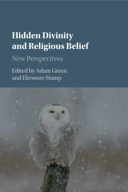 Hidden Divinity and Religious Belief; New Perspectives (Paperback / softback) 9781107435032