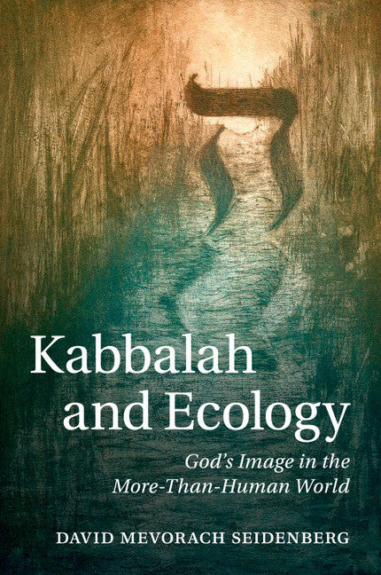 Kabbalah and Ecology; God's Image in the More-Than-Human World (Paperback / softback) 9781107441446