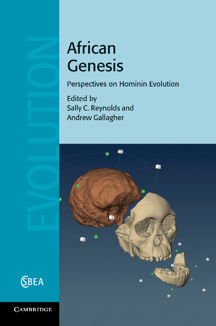 African Genesis; Perspectives on Hominin Evolution (Paperback / softback) 9781107454507