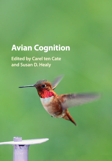 Avian Cognition (Paperback / softback) 9781107465466