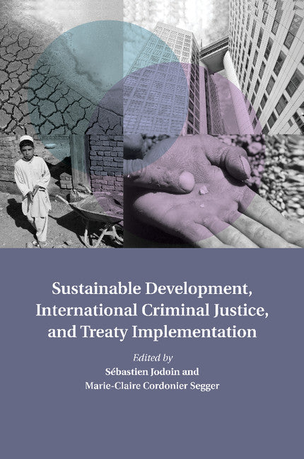 Sustainable Development, International Criminal Justice, and Treaty Implementation (Paperback / softback) 9781107502758