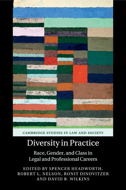 Diversity in Practice; Race, Gender, and Class in Legal and Professional Careers (Paperback / softback) 9781107559196