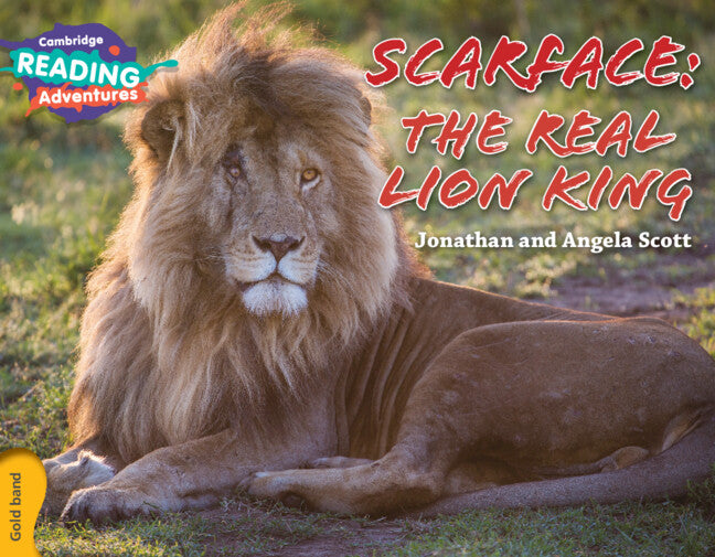 Cambridge Reading Adventures Scarface: The Real Lion King Gold Band (Paperback / softback) 9781107560475