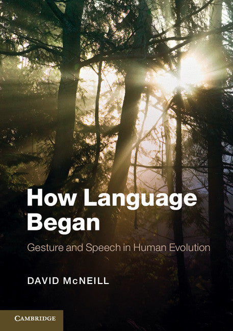 How Language Began; Gesture and Speech in Human Evolution (Paperback / softback) 9781107605497