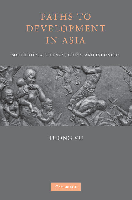 Paths to Development in Asia; South Korea, Vietnam, China, and Indonesia (Paperback / softback) 9781107618107
