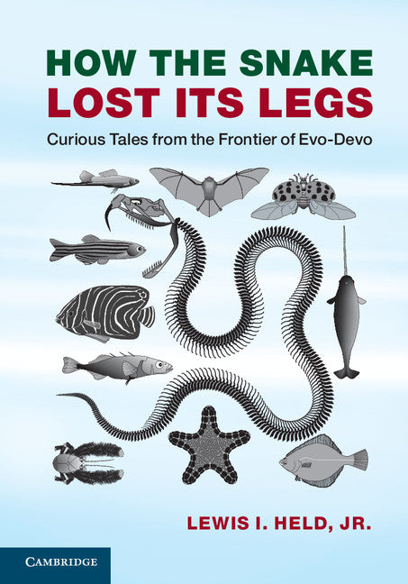 How the Snake Lost its Legs; Curious Tales from the Frontier of Evo-Devo (Paperback / softback) 9781107621398