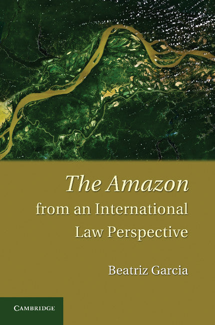 The Amazon from an International Law Perspective (Paperback / softback) 9781107627758