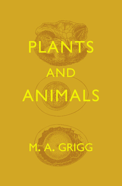 Plants and Animals (Paperback / softback) 9781107642799