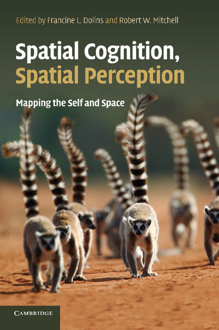 Spatial Cognition, Spatial Perception; Mapping the Self and Space (Paperback / softback) 9781107646230