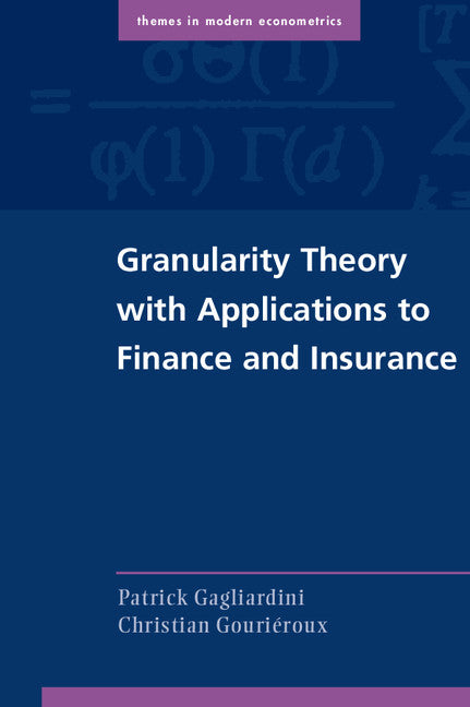 Granularity Theory with Applications to Finance and Insurance (Paperback / softback) 9781107662889