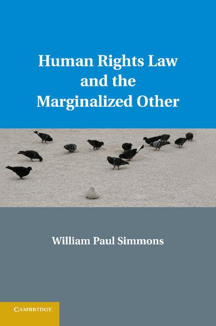 Human Rights Law and the Marginalized Other (Paperback / softback) 9781107671539