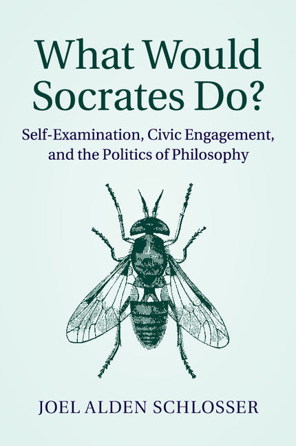 What Would Socrates Do?; Self-Examination, Civic Engagement, and the Politics of Philosophy (Paperback / softback) 9781107672260