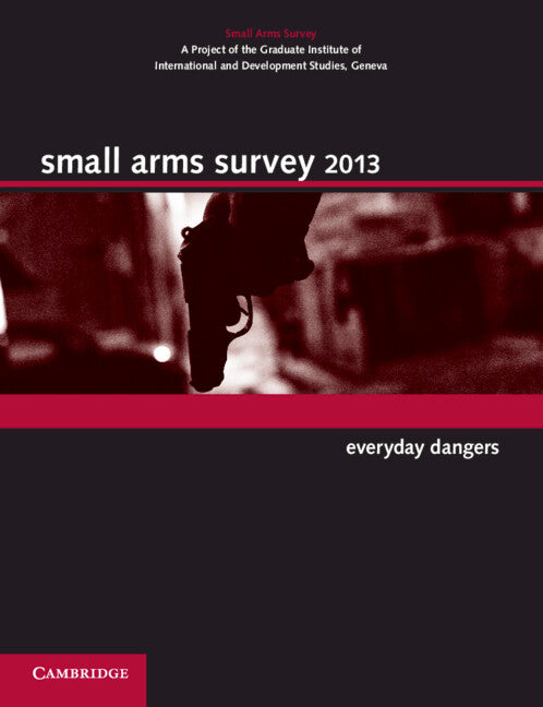 Small Arms Survey 2013; Everyday Dangers (Paperback / softback) 9781107672444