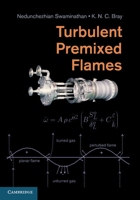 Turbulent Premixed Flames (Paperback / softback) 9781107679061