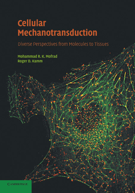 Cellular Mechanotransduction; Diverse Perspectives from Molecules to Tissues (Paperback / softback) 9781107682467